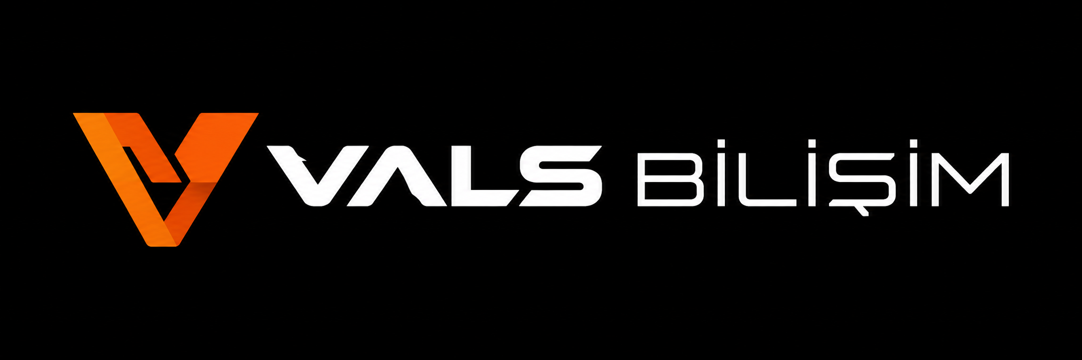 Vals Bilişim